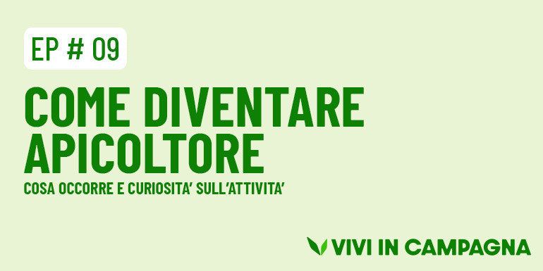 Come diventare apicoltore