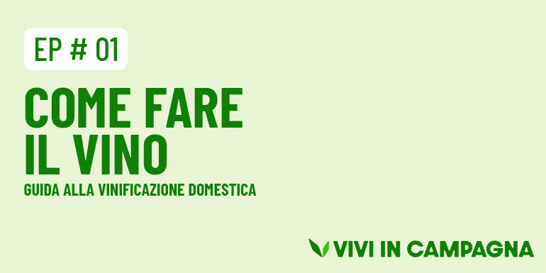 Come fare il vino: guida alla vinificazione domestica