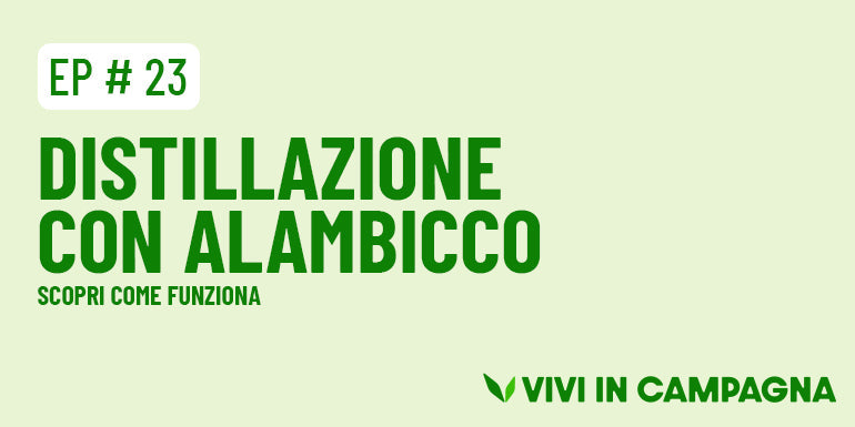 Distillazione con alambicco: come funziona?
