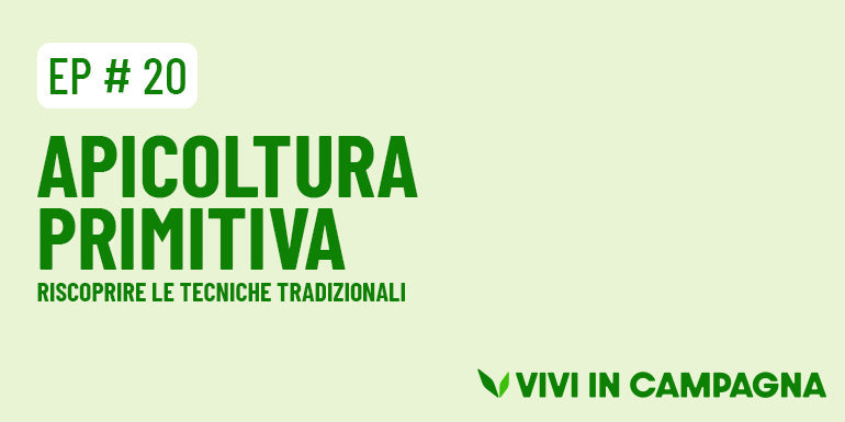 Apicoltura primitiva: riscoprire le tecniche tradizionali