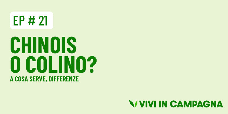 Chinois o colino cinese: a cosa serve e differenze con altri colini