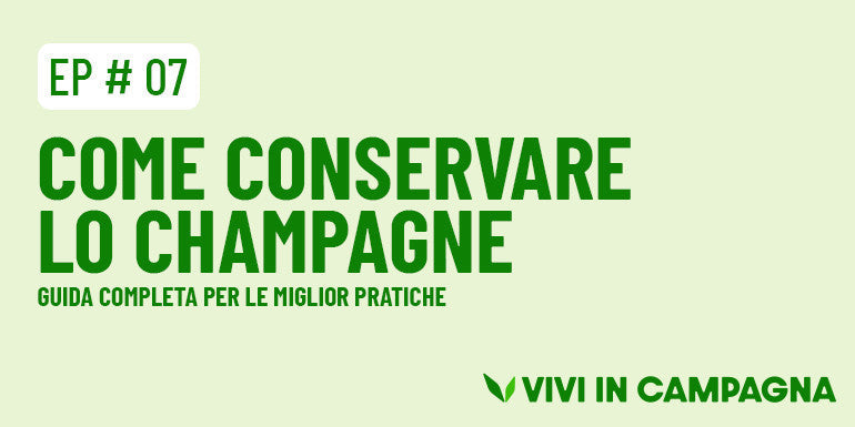 Come conservare lo champagne