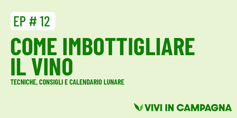 Come imbottigliare il vino