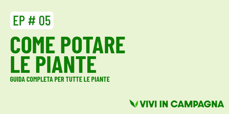 Come potare le piante