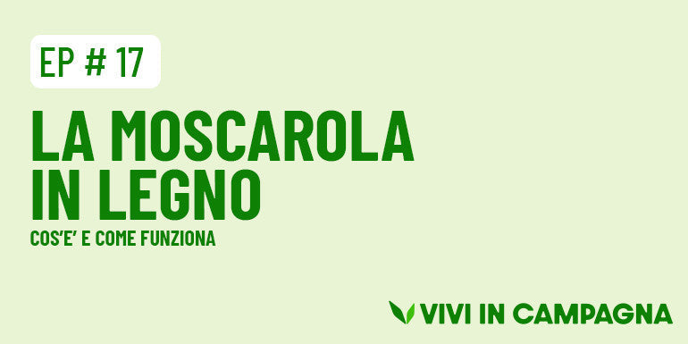 Moscarola: cos’è e a cosa serve