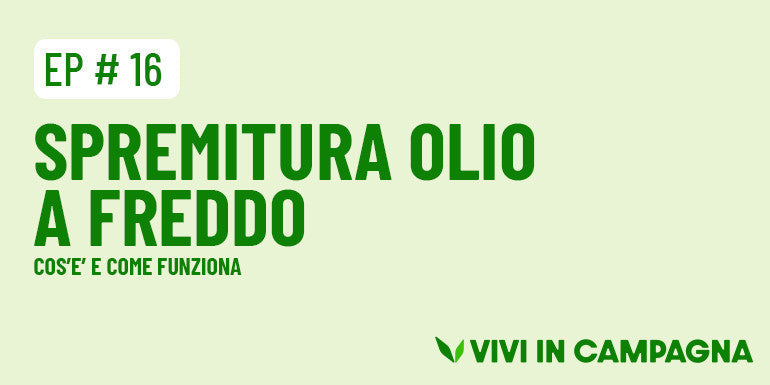 Spremitura olio a freddo: cos’è, come funziona