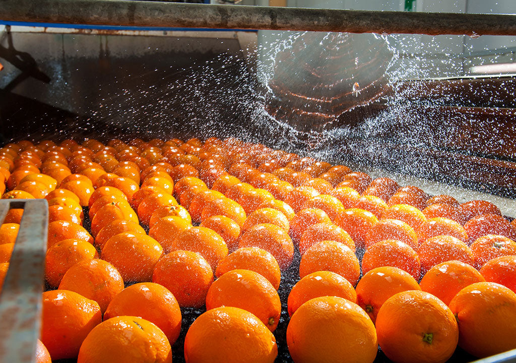 pressette-idropresse-e-mulini-per-frutta
