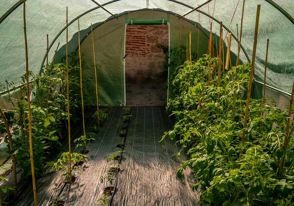 hobby-e-giardinaggio