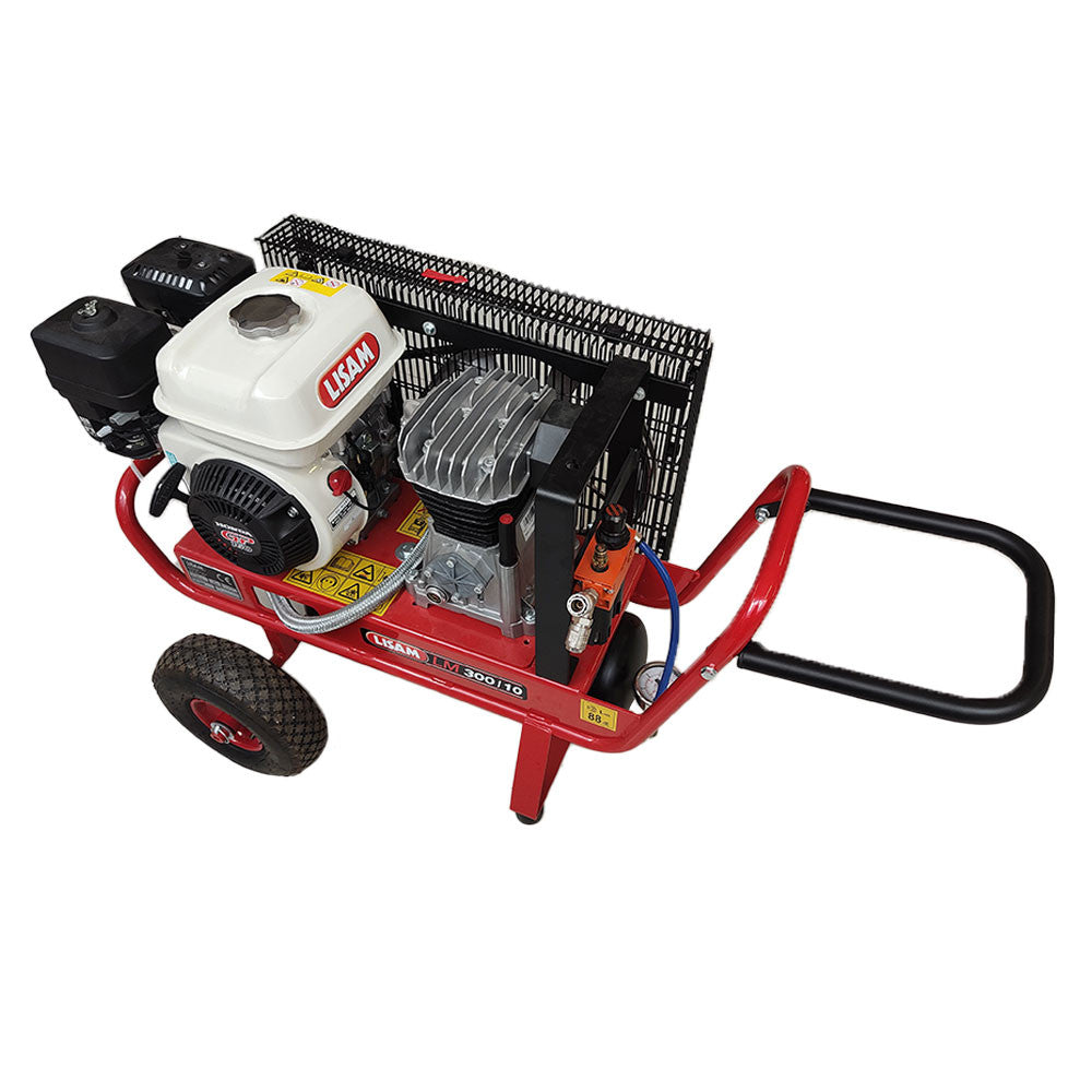 MOTORKOMPRESSOR LM 300/10