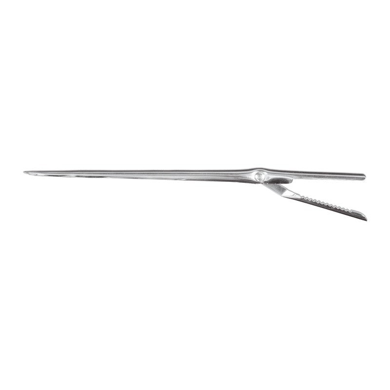 AIGUILLE À LARDER INOX AVEC RESSORT CM.19,5