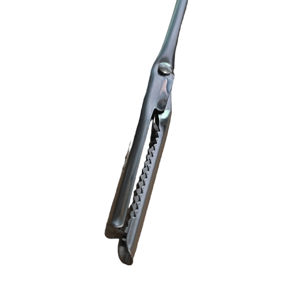 AIGUILLE À LARDER INOX AVEC RESSORT CM.19,5