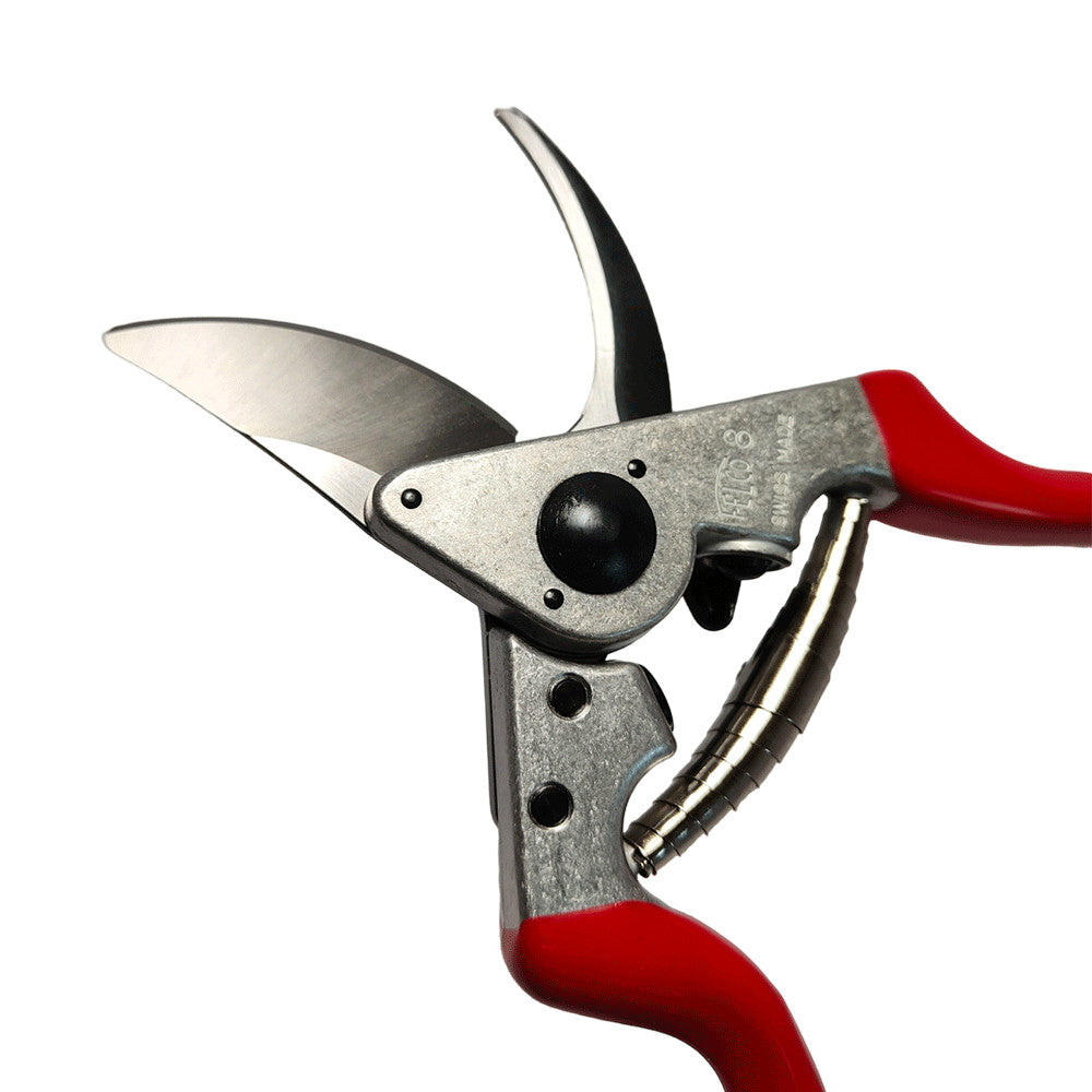 FORBICE CLASSICA FELCO 8