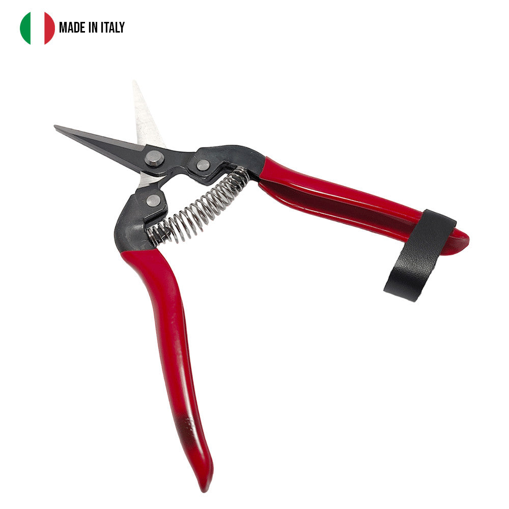 FORBICE COGLIUVA RETTA CM.19