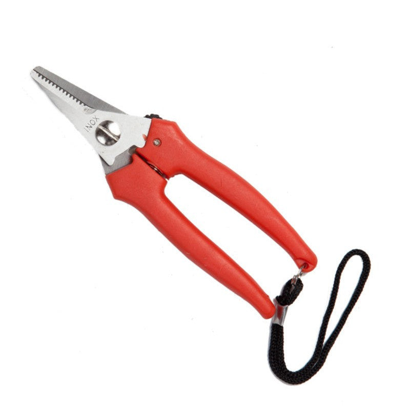 FORBICE COGLIUVA INOX CM 16