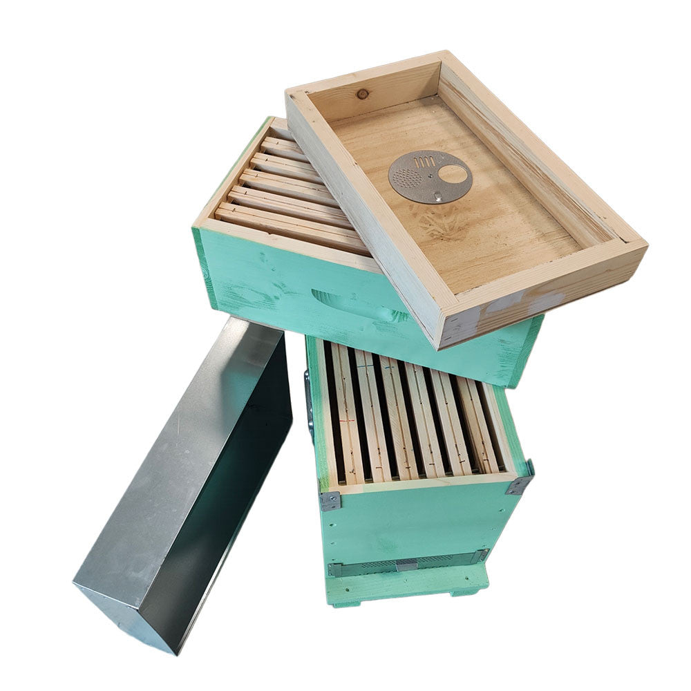 HIVE BOX 6 FRAMES WITH PAINTED FRAMES