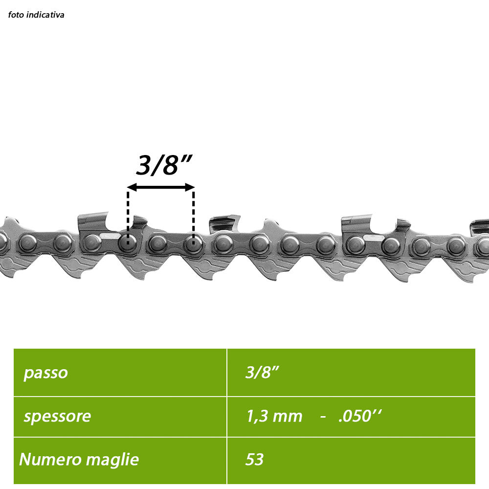 CATENA OREGON 91 PX-053E