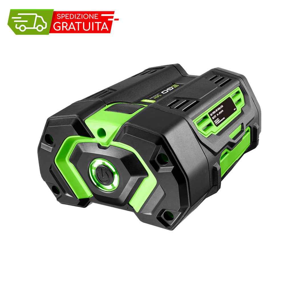 EGO 4 AH BATTERIE