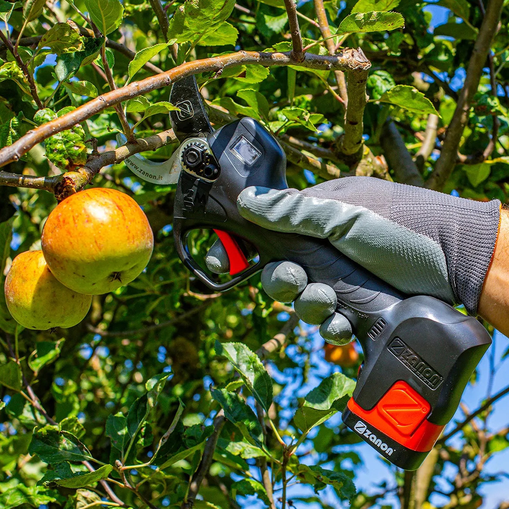 ELECTRONIC PRUNER ZM-34 WITH 2 BATTERIES