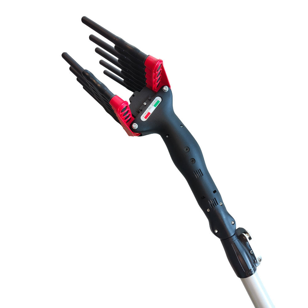 OLIVENABTRENNER PATERLINI TWIN PICKS