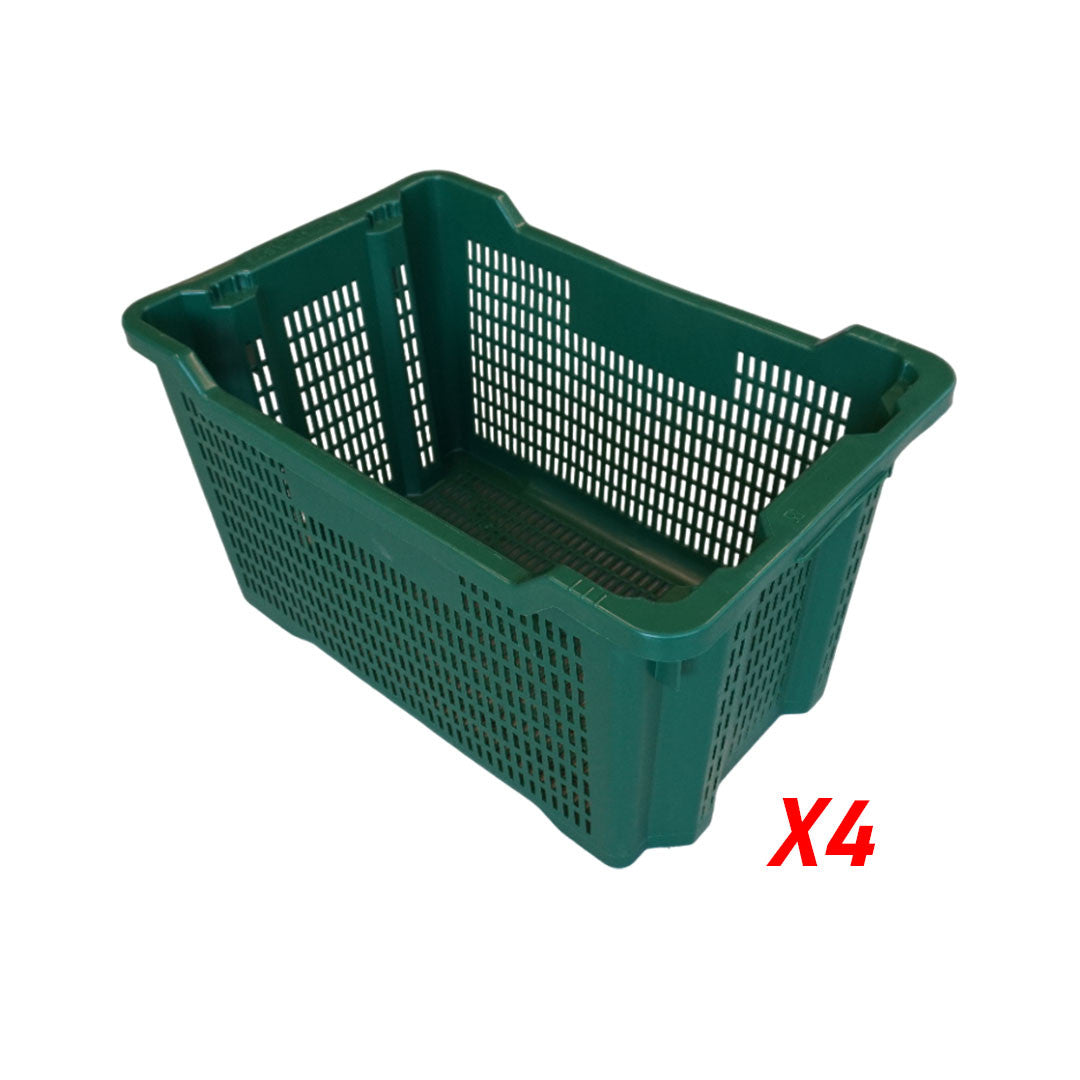 KIT OLIO "HOBBY 2"
