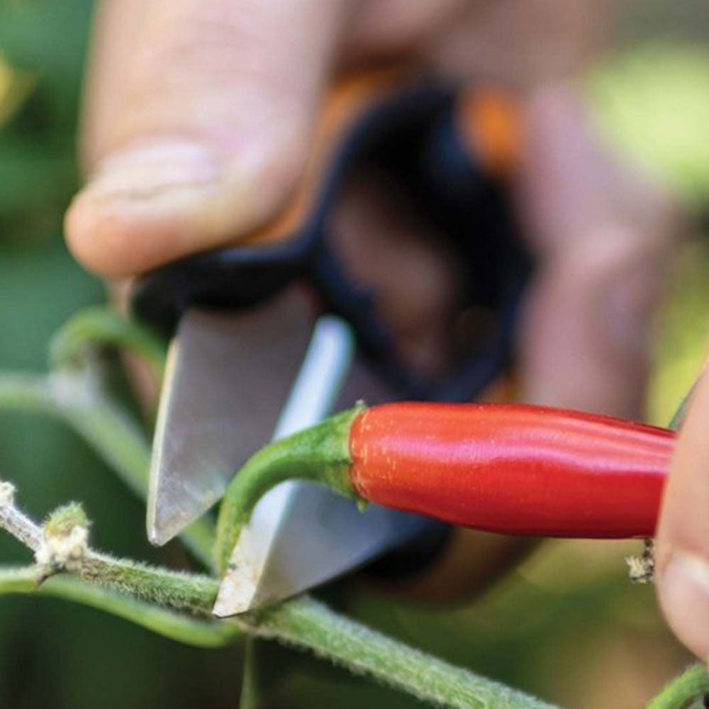 FORBICE ERBE AROMATICHE FISKARS