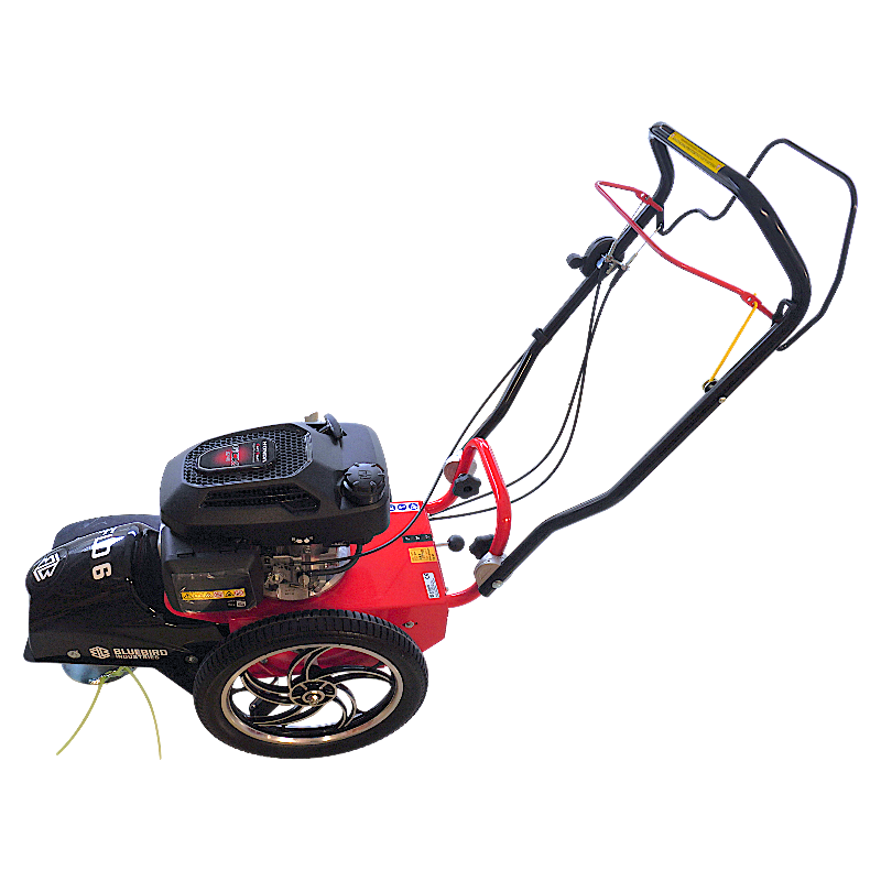 DECESPUGLIATORE À ROUES BLUE BIRD FLO SPEED 6 HO