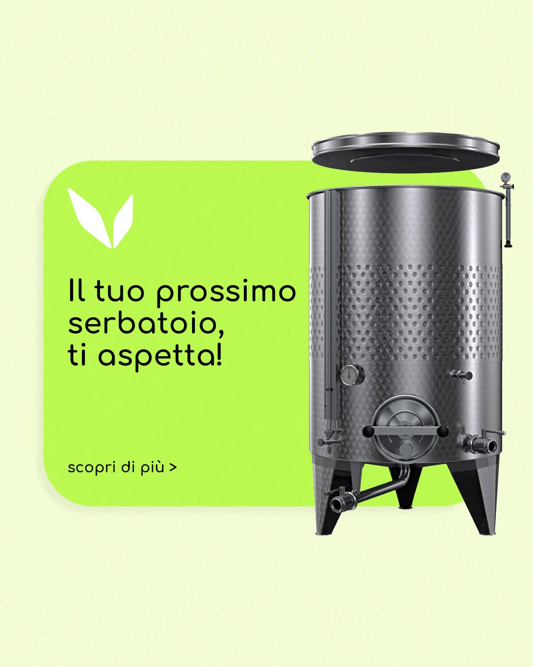 viviincampagna