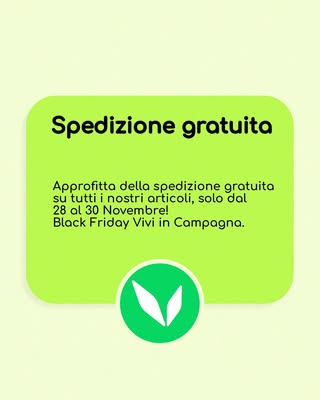 viviincampagna