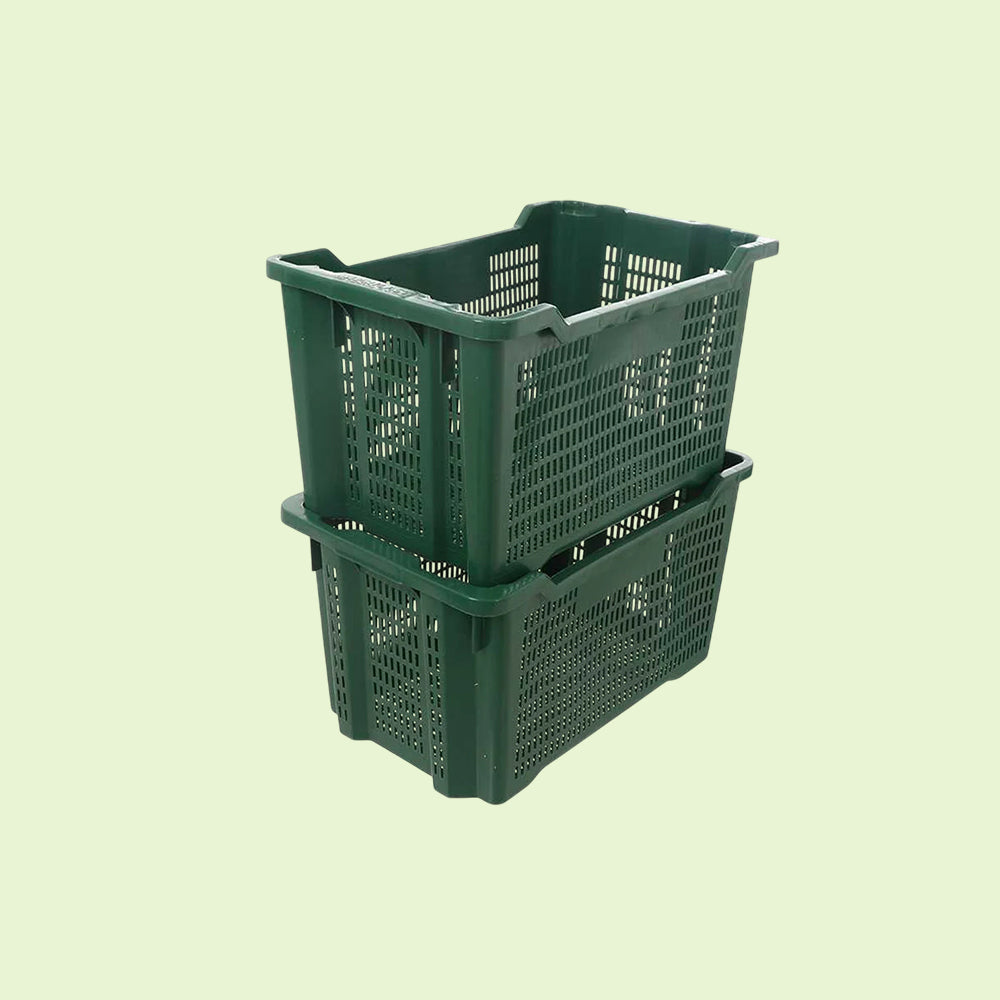 Cassette per olive