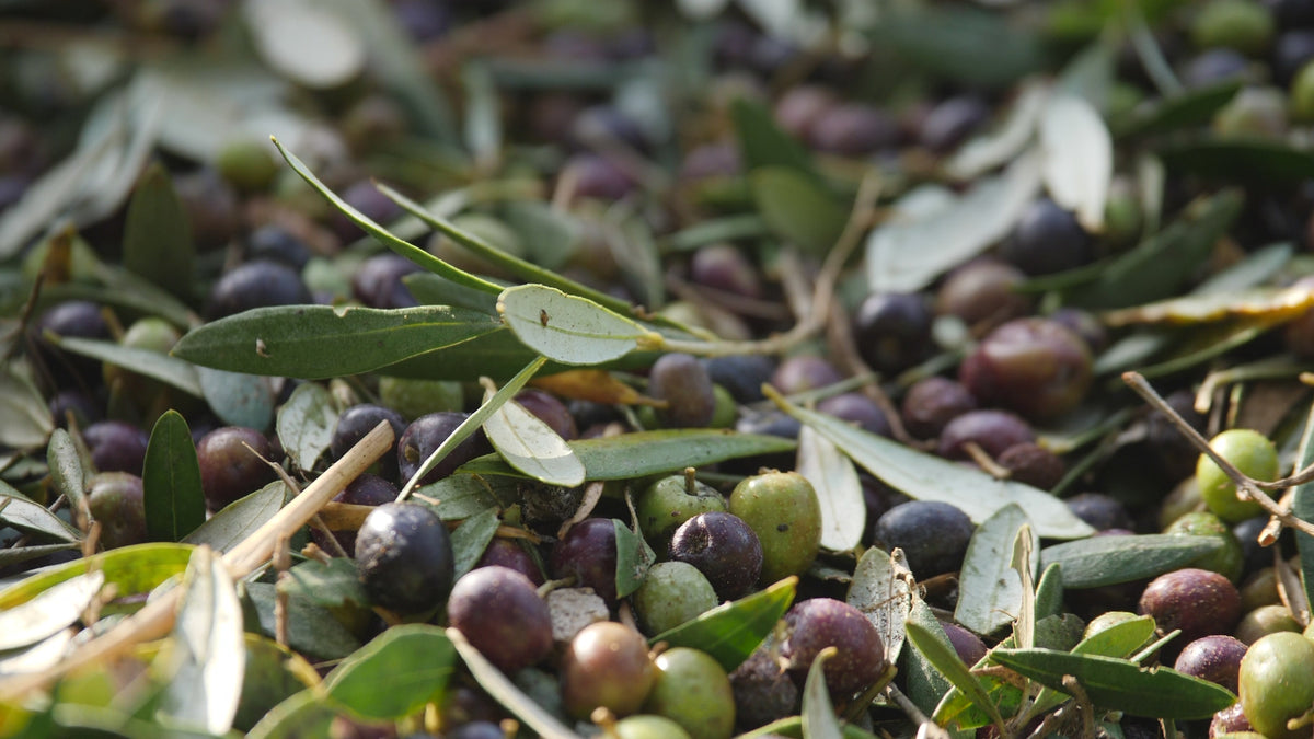 Carica video: 